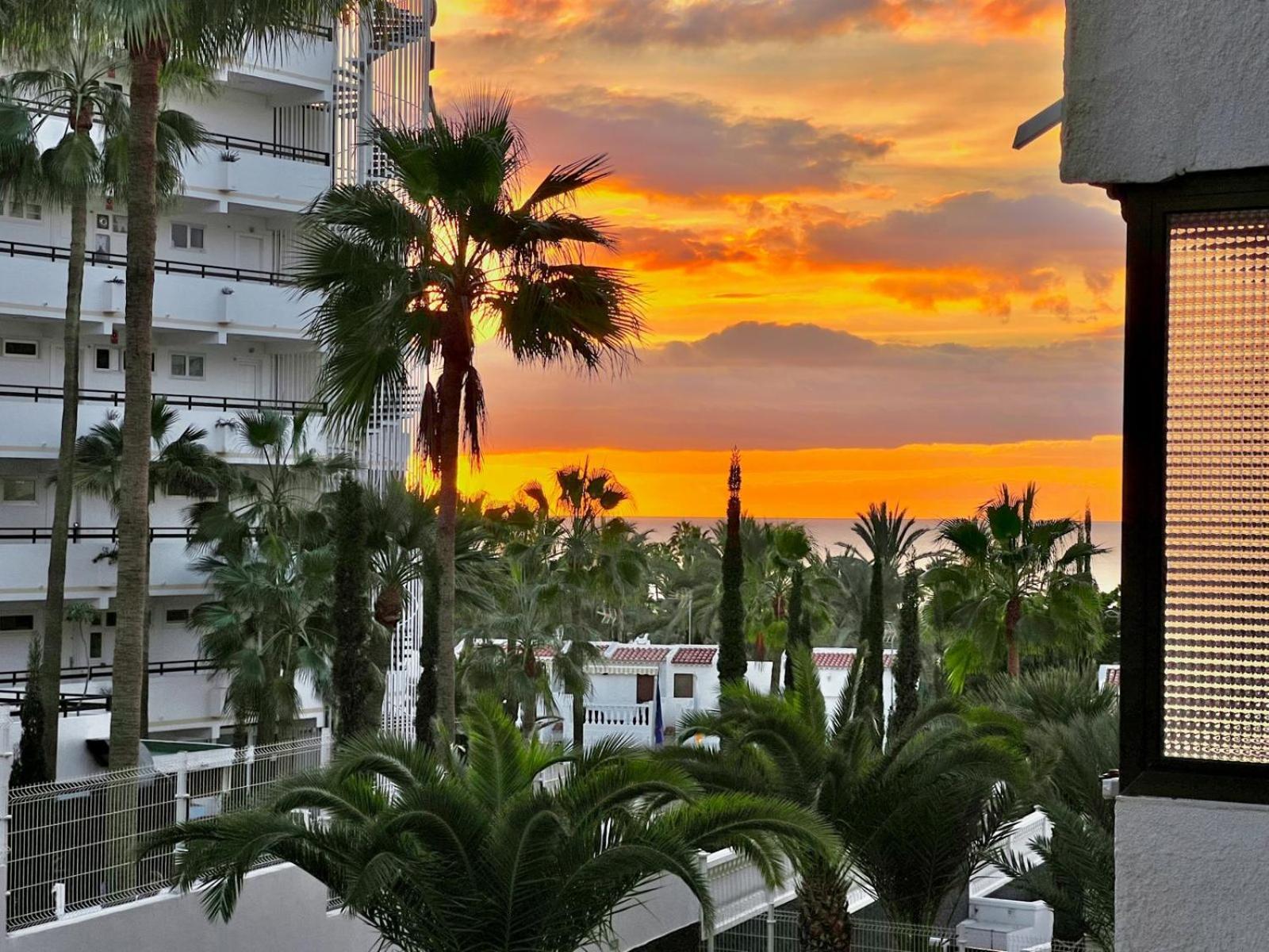 Olympia Palmalicious Apartment Playa de las Américas Dış mekan fotoğraf